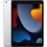 Apple iPad 10,2" 9th Generation Wi-Fi 256 GB Silber MK2P3FD/A