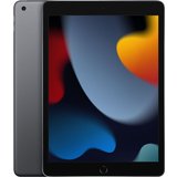 Apple iPad 10,2" 9th Generation Wi-Fi 256 GB Space Grau MK2N3FD/A